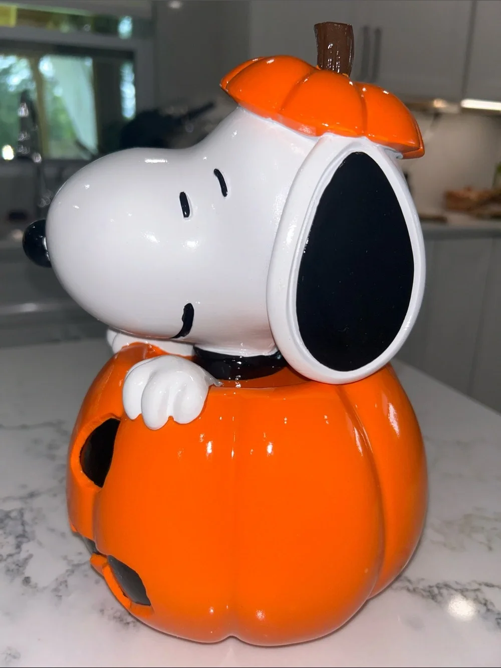 Peanuts Snoopy Halloween Pumpkin Decor